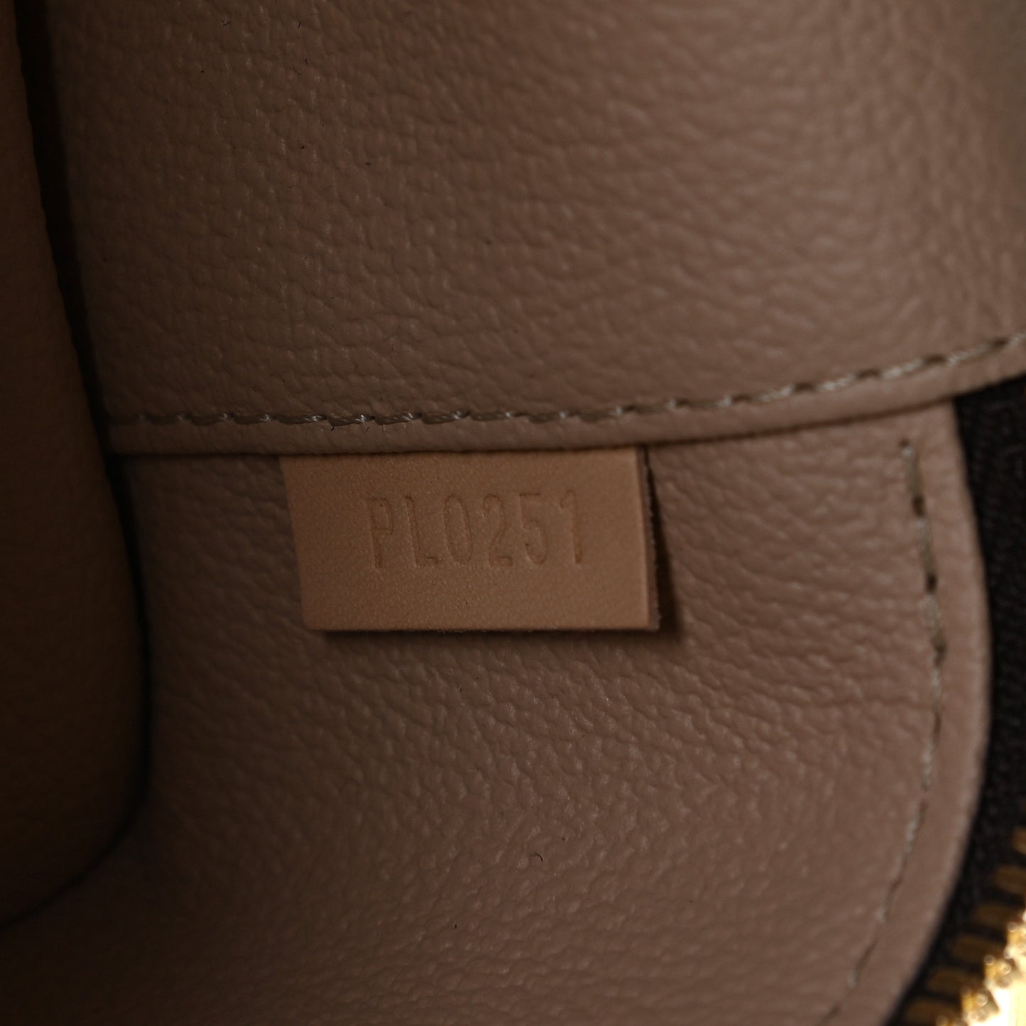 Monogram Nano Nice