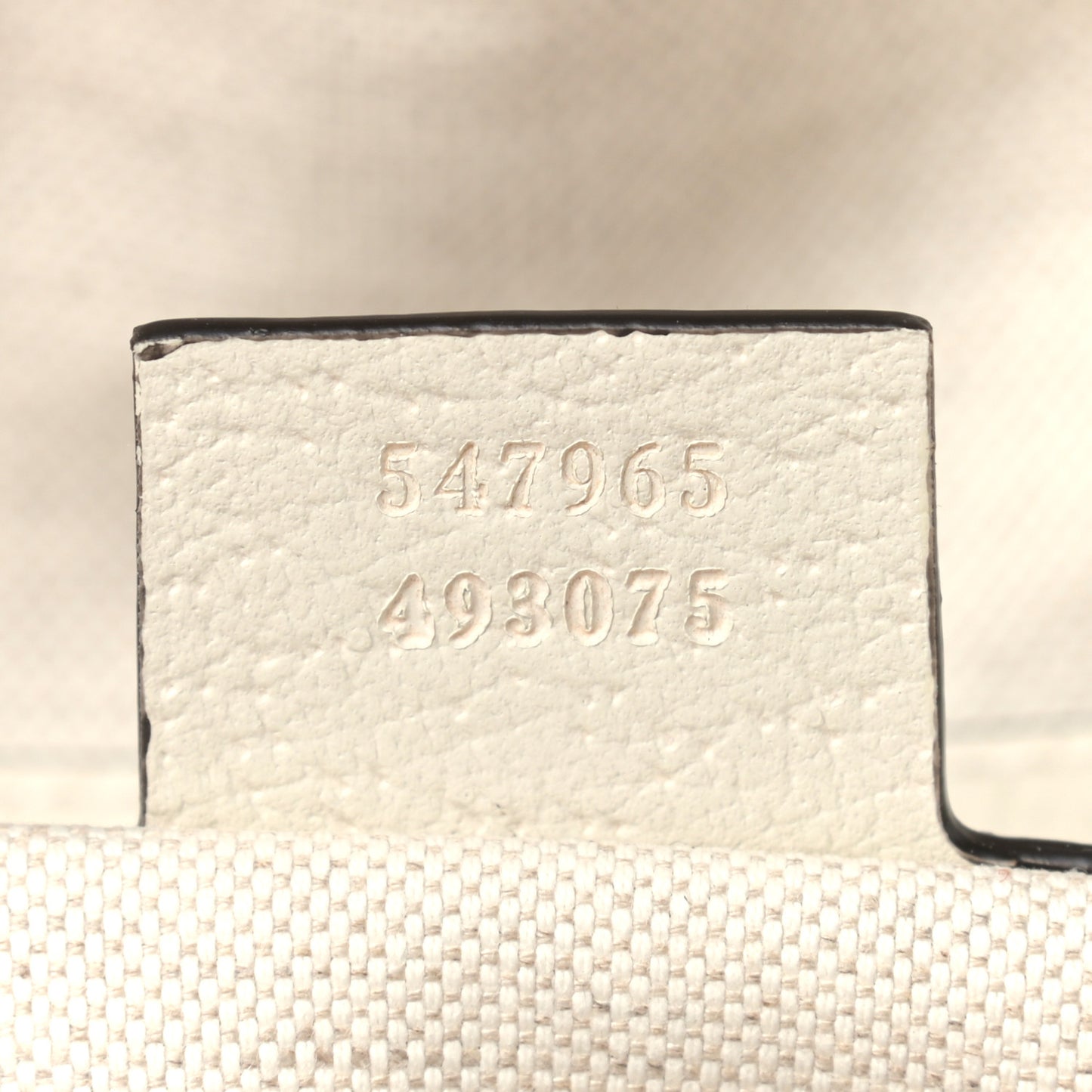 GG Supreme Monogram Flora Web Small Ophidia Day Backpack White