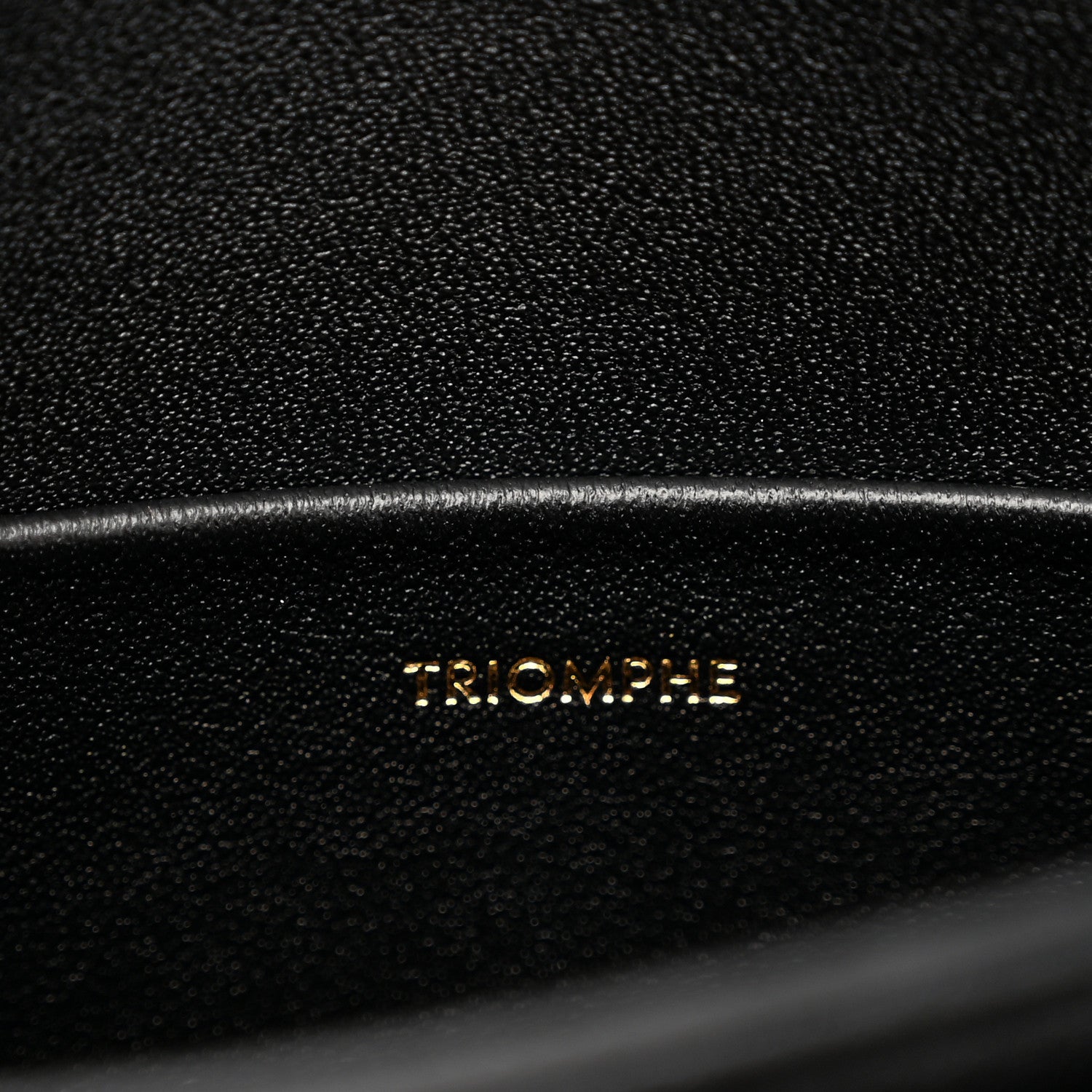 Celine Shiny Calfskin Teen Triomphe Black 7 of 11