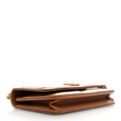 Chanel Lambskin Quilted Chanel 19 Wallet On Chain WOC Brown 4 of 8