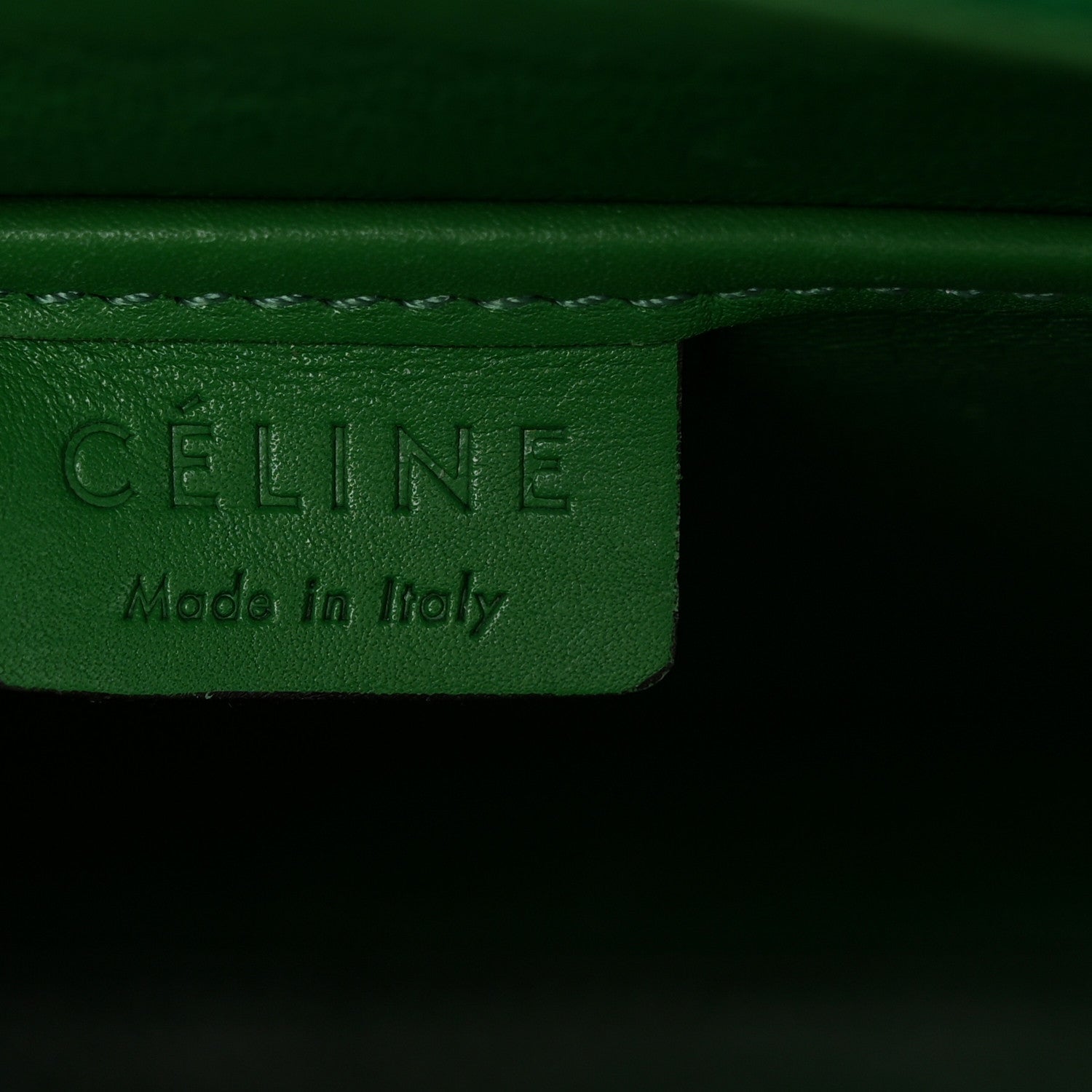Celine Smooth Calfskin Nano Luggage Grass 9 of 12