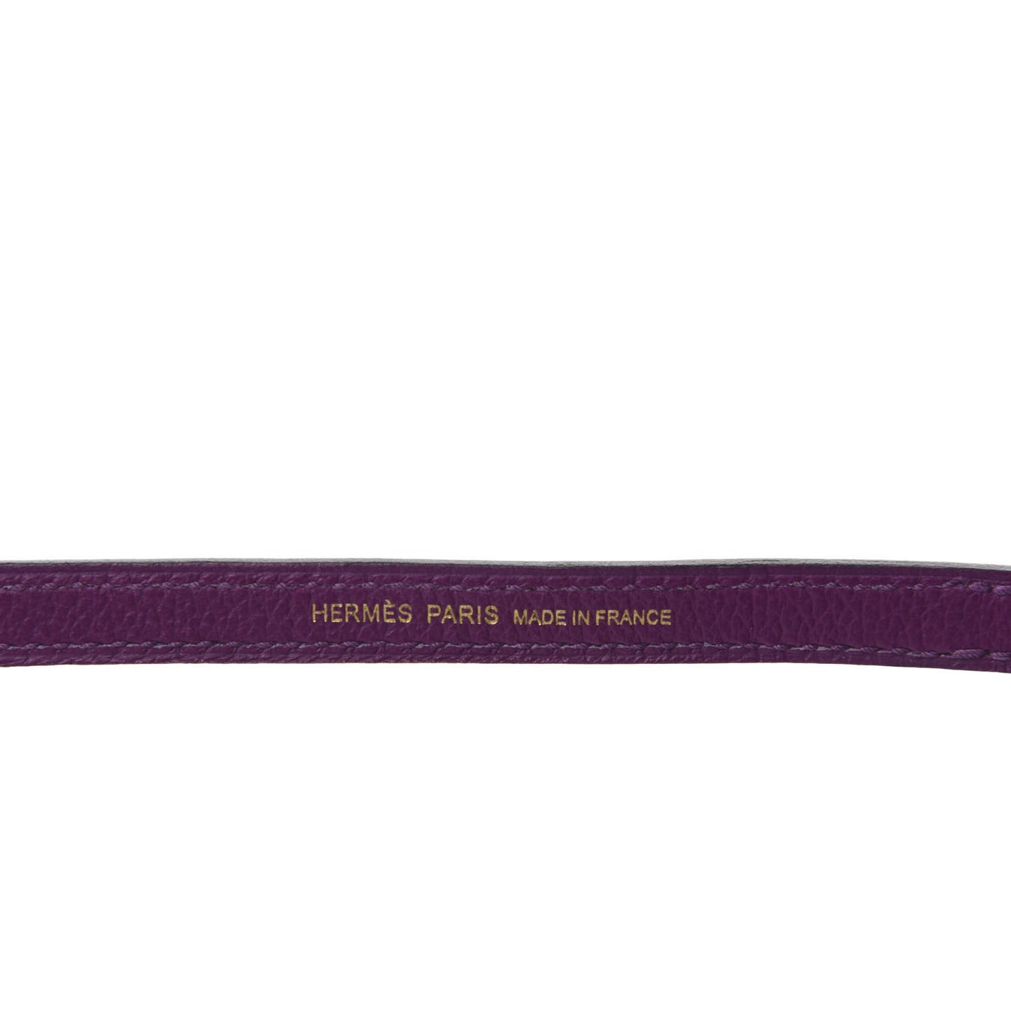 Evercolor Mini 1923 Bolide Anemone
