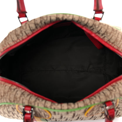Christian Dior Monogram Rasta Bowler Beige 5 of 22