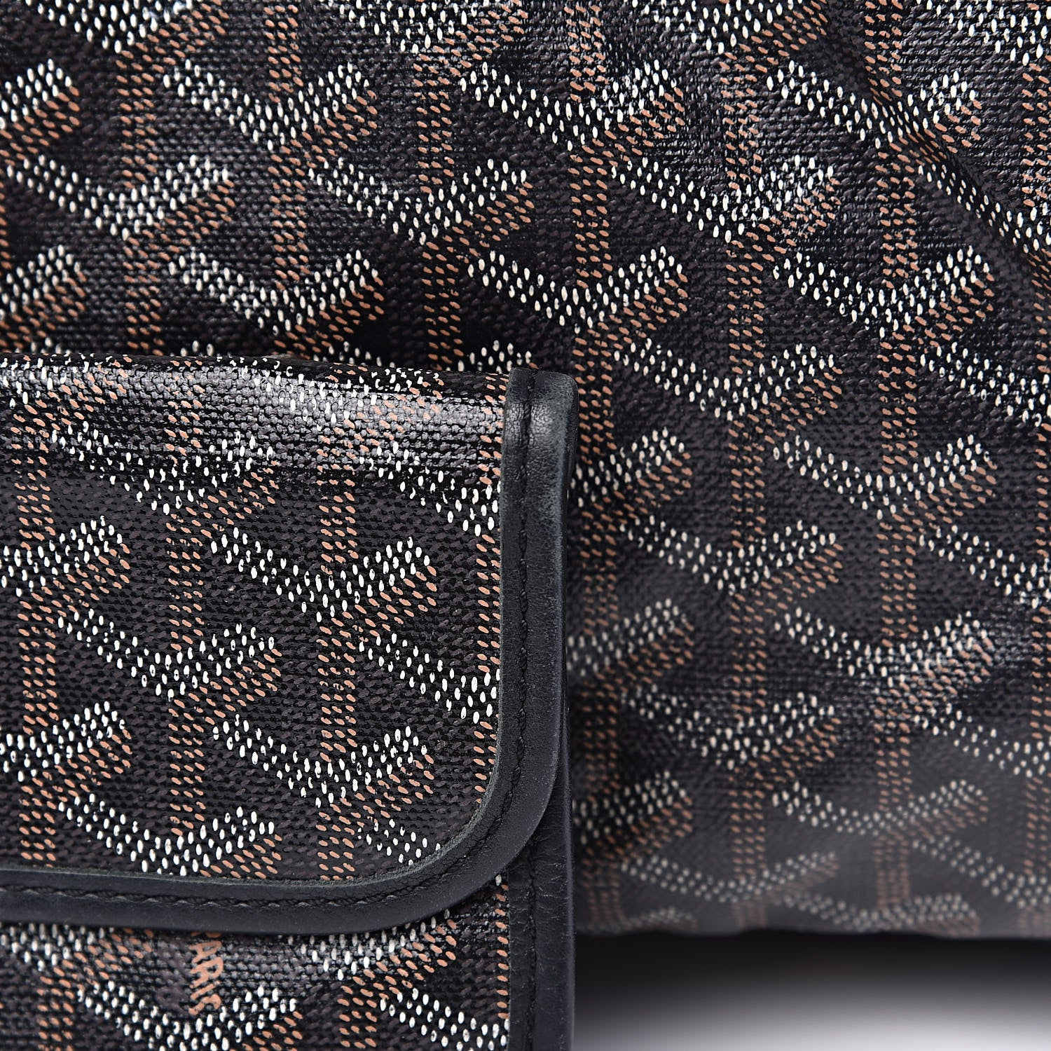 Goyard Goyardine Saint Louis PM Black 14 of 16