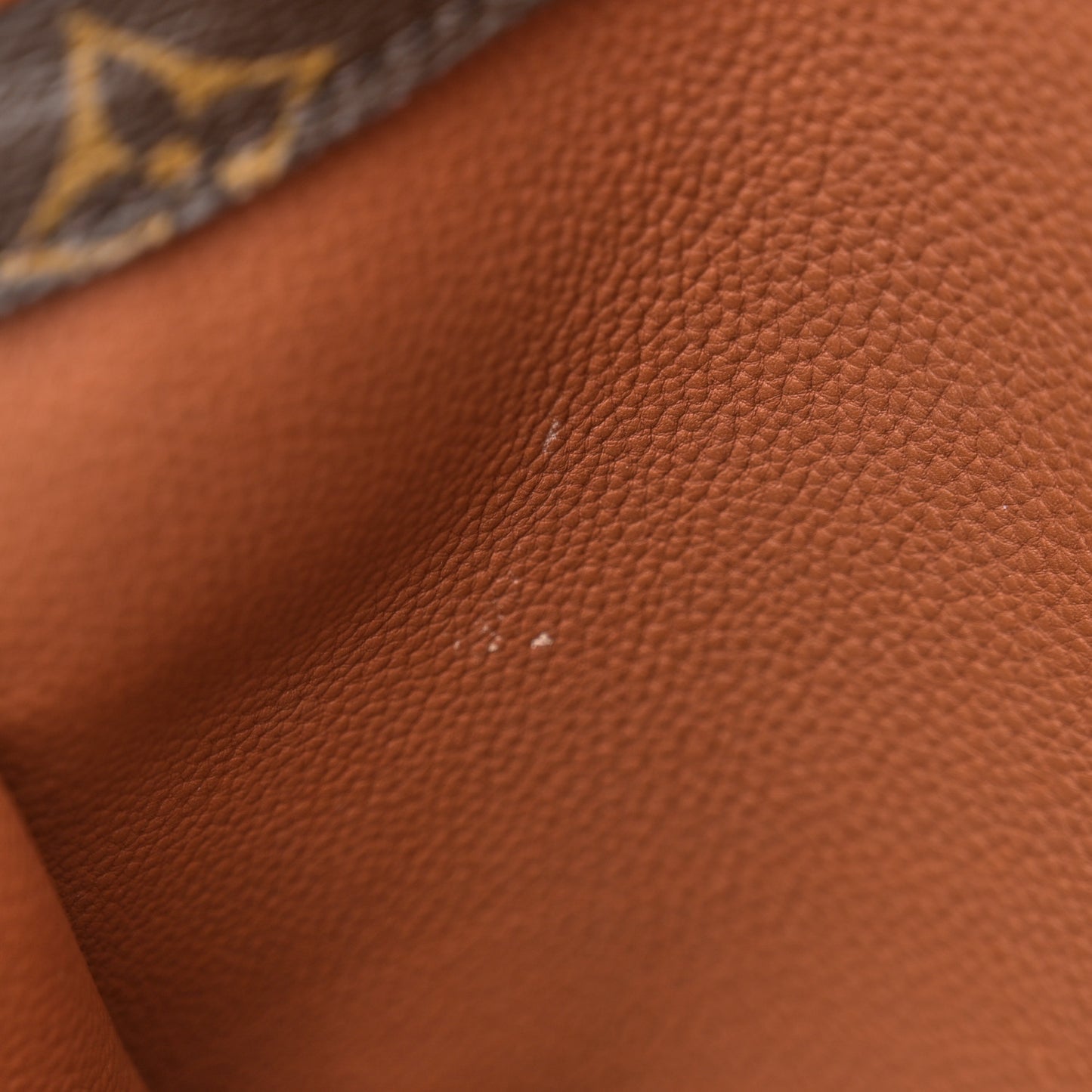 Monogram Olympe Camel