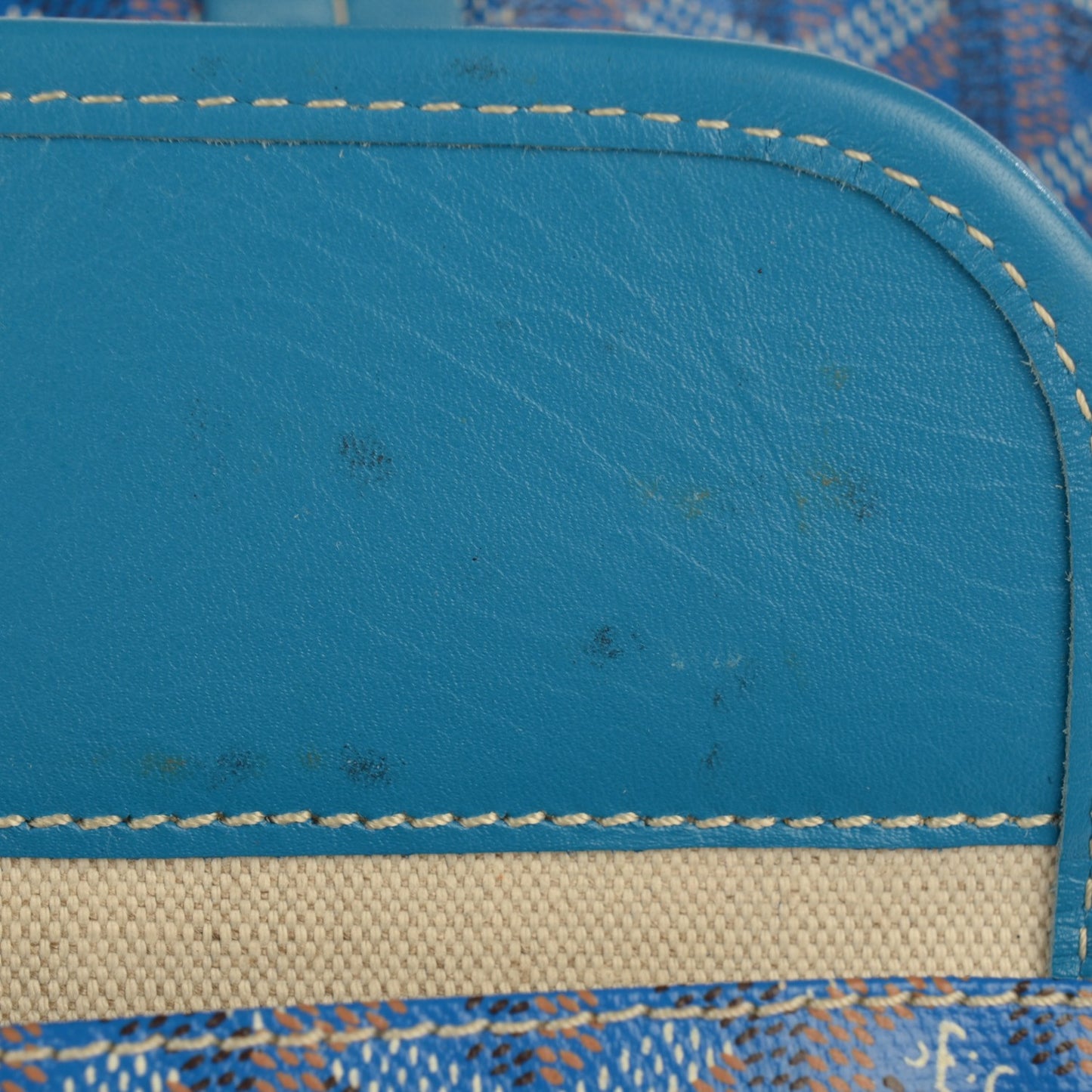 Goyardine Saint Louis PM Sky Blue
