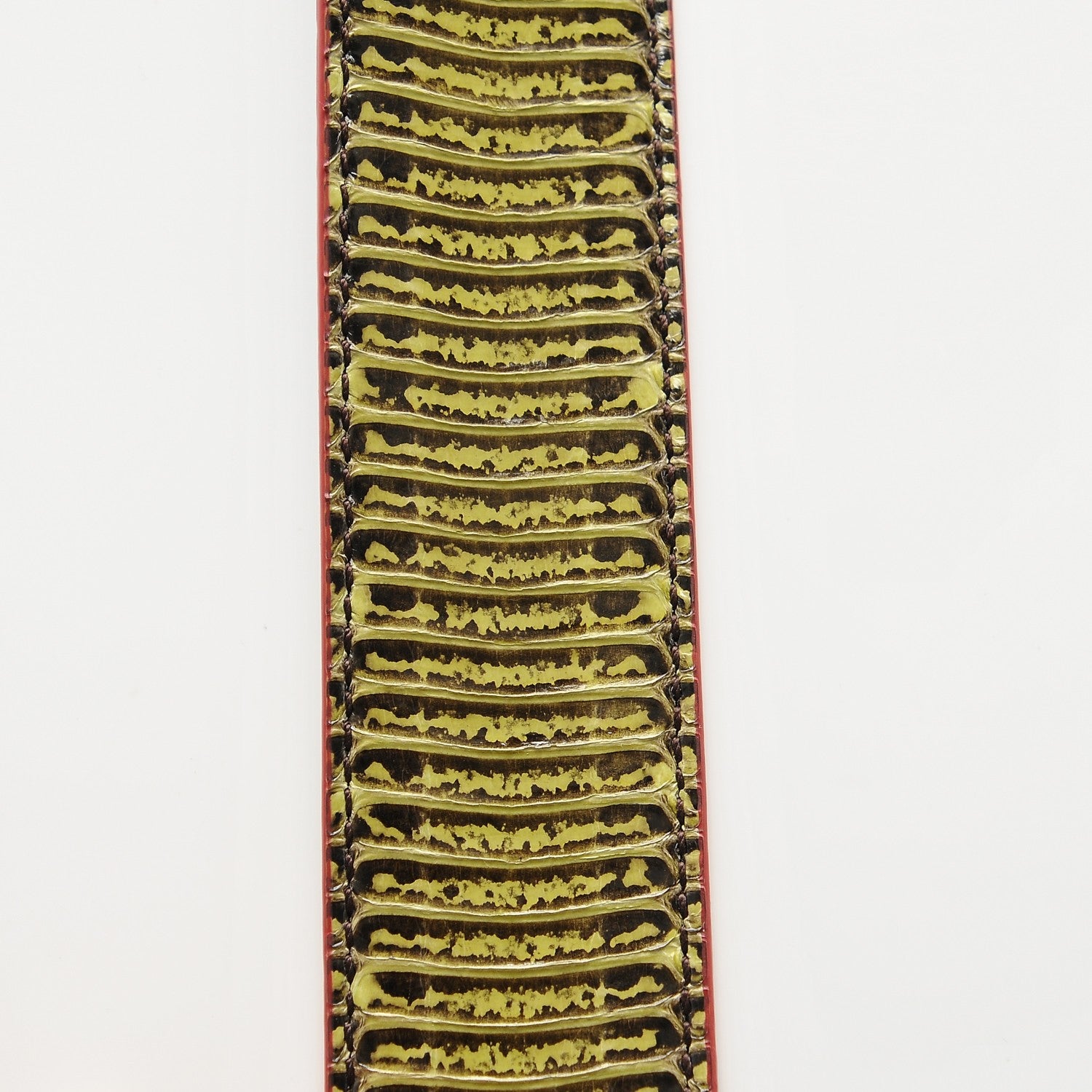 Fendi Elaphe Vitello Dolce Strap You Verde Acido Ardesia 5 of 5