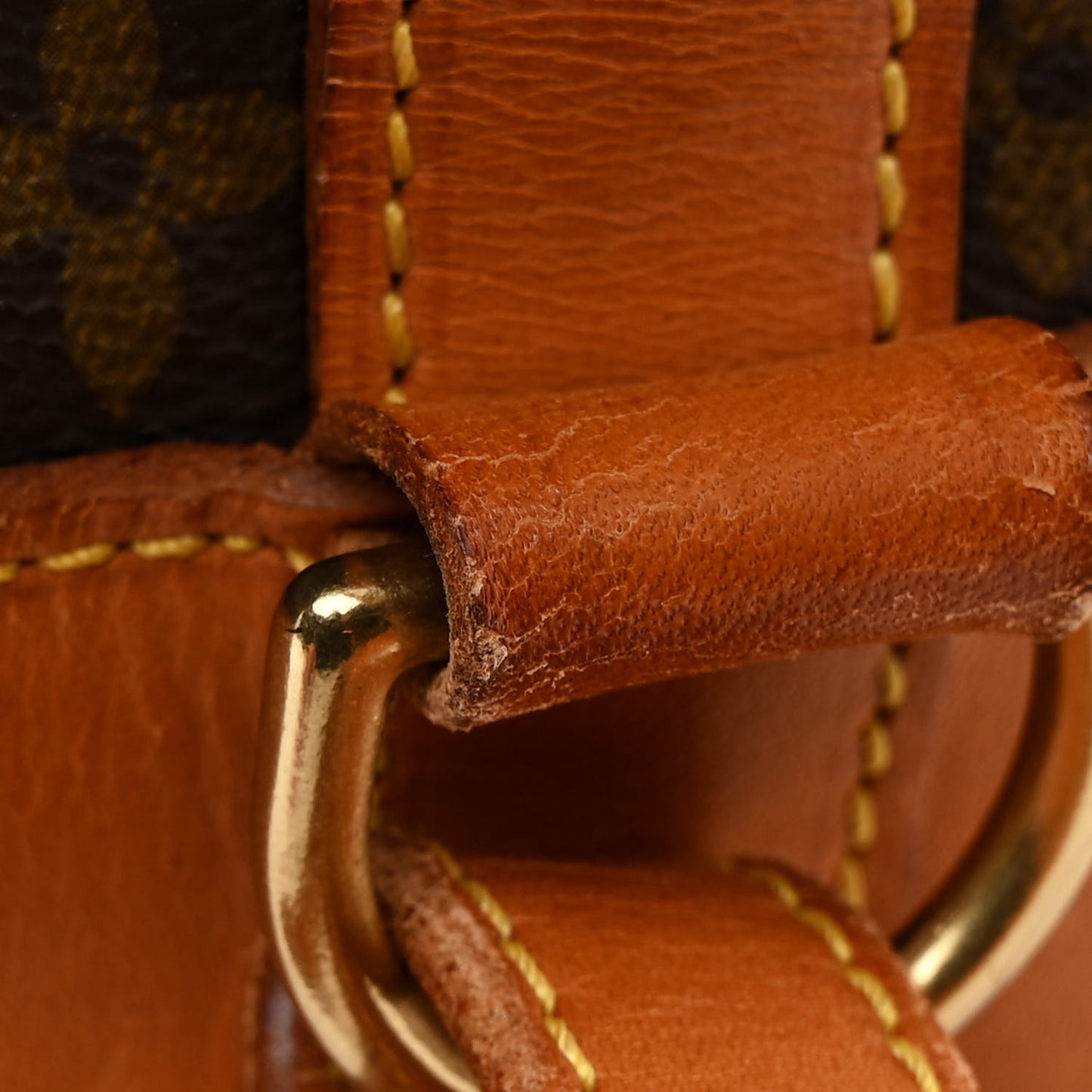 Monogram Randonnee PM