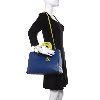 Christian Dior Smooth Calfskin Tri-Color Large Diorissimo Tote Blue Multicolor 2 of 15