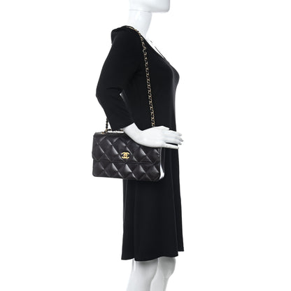 Chanel Glazed Calfskin Stitched Small Flap Brown 2 of 10