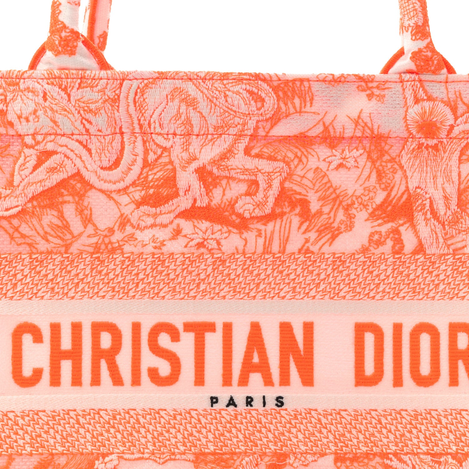 Christian Dior Transparent Canvas Embroidered Medium Dioriviera