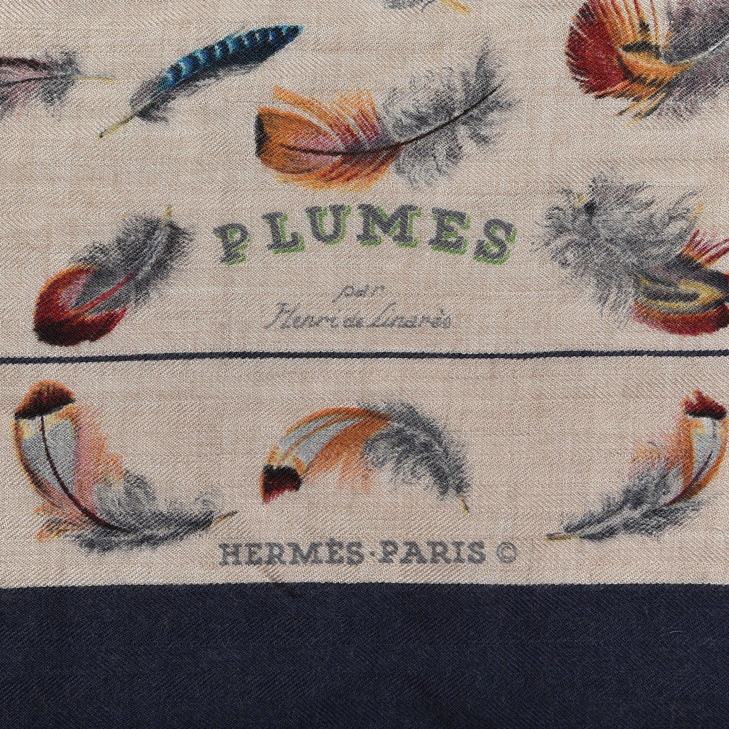 Hermes Cashmere Silk Plumes par Henri de Linares Scarf 90 3 of 5