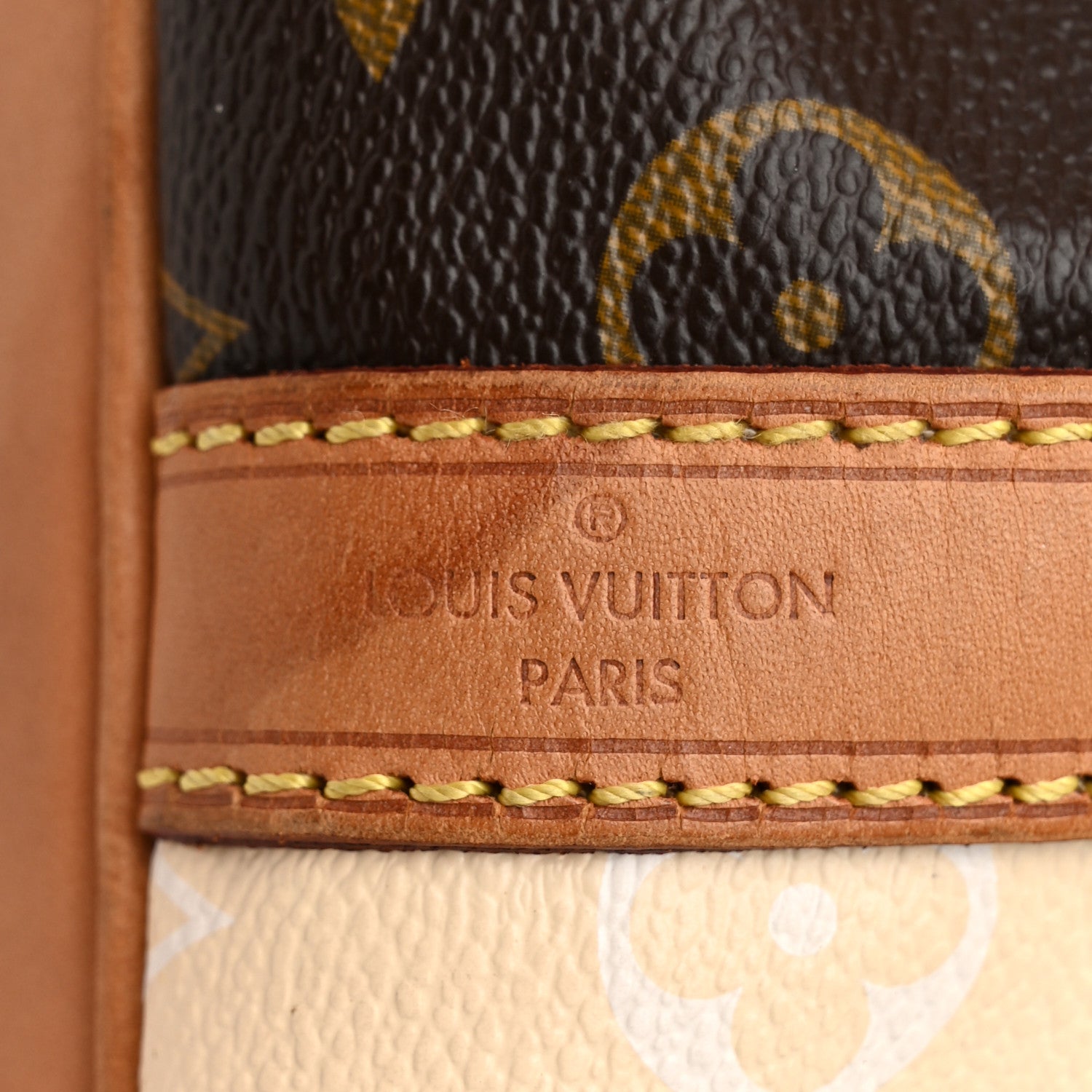 Louis Vuitton Monogram Rayures Noe 6 of 10