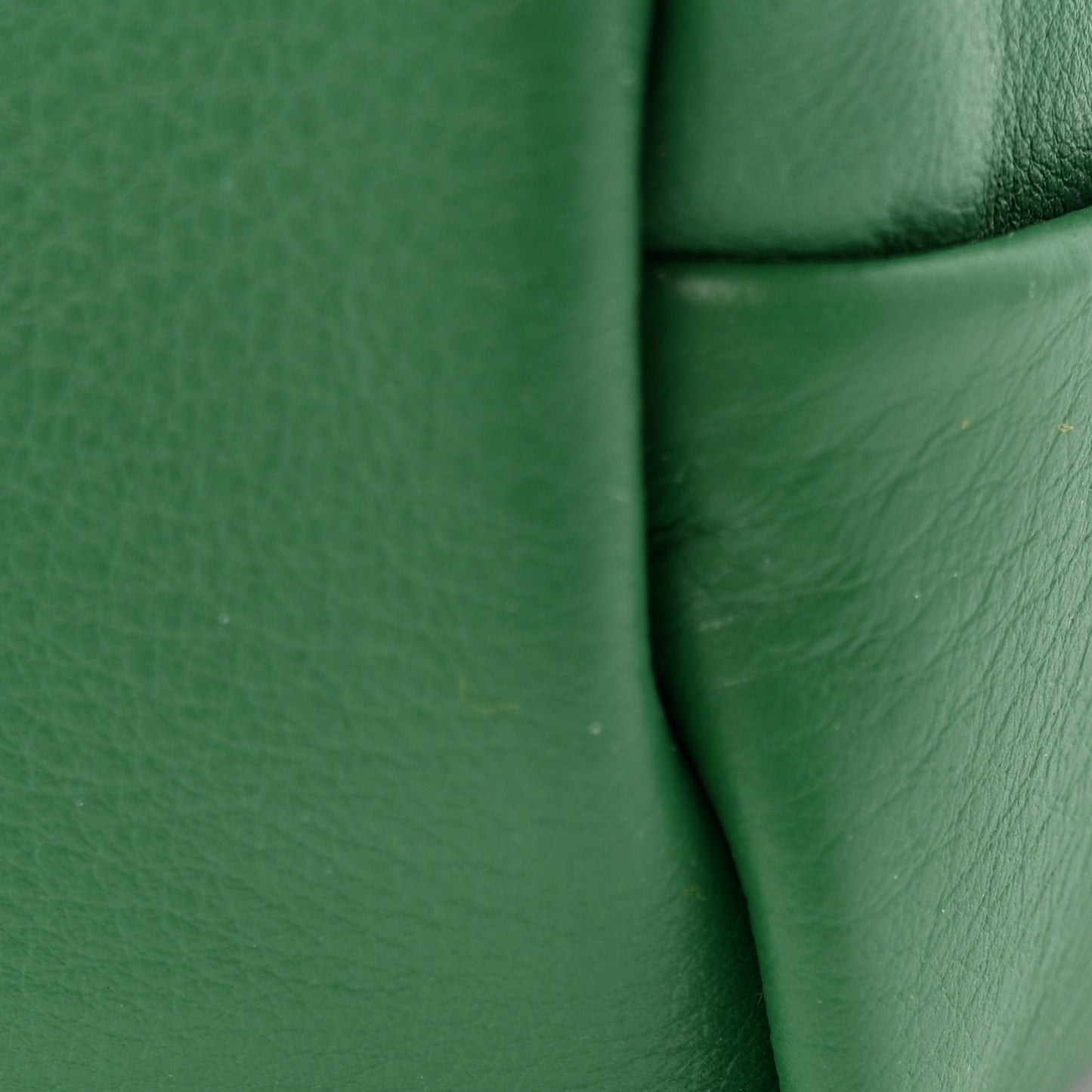 Goyardine Reversible Mini Anjou Green