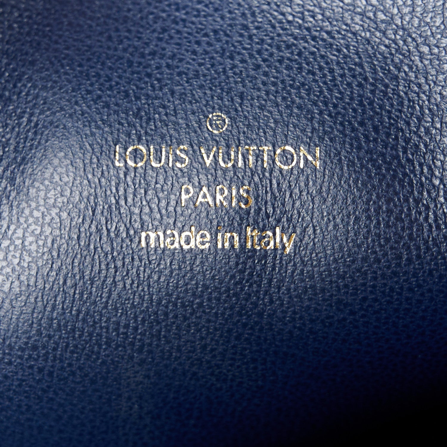 Louis Vuitton Lambskin Embossed Monogram Coussin PM Camel 8 of 12