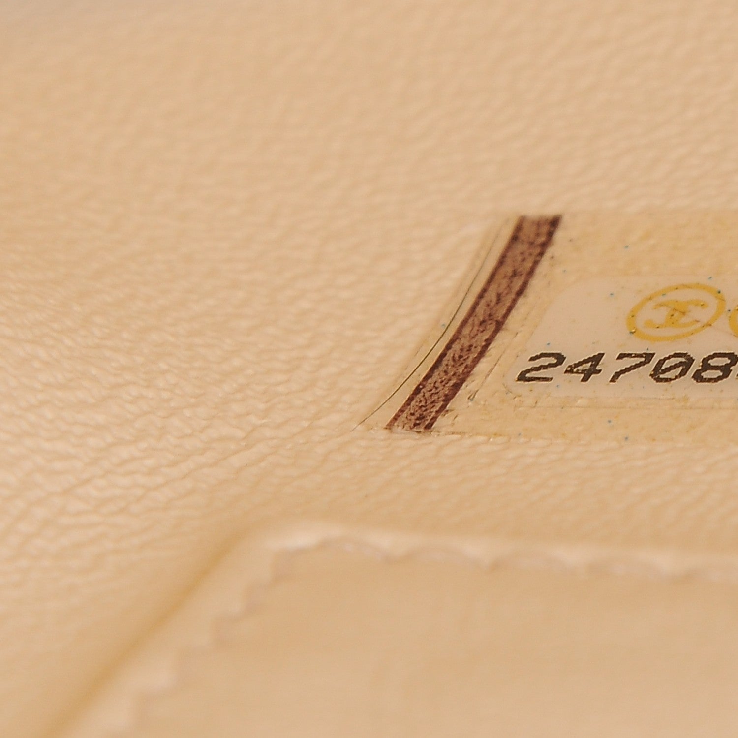 Chanel Caviar Lizard Quilted Medium Coco Handle Flap Ivory 8 of 10