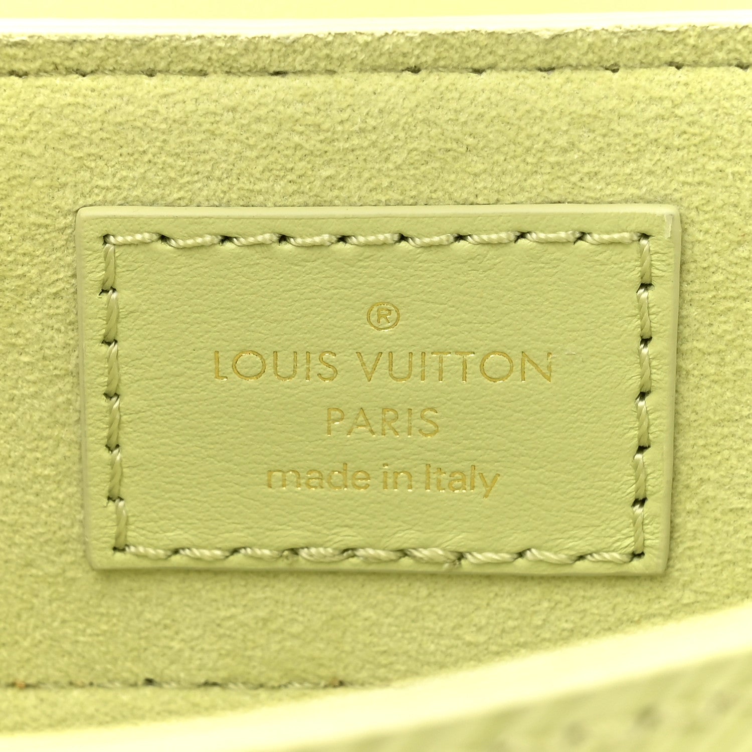 Louis Vuitton Epi Hide and Seek Vert Noto 6 of 9