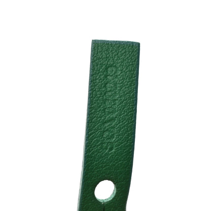 Goyard Goyardine Reversible Mini Anjou Green 11 of 17