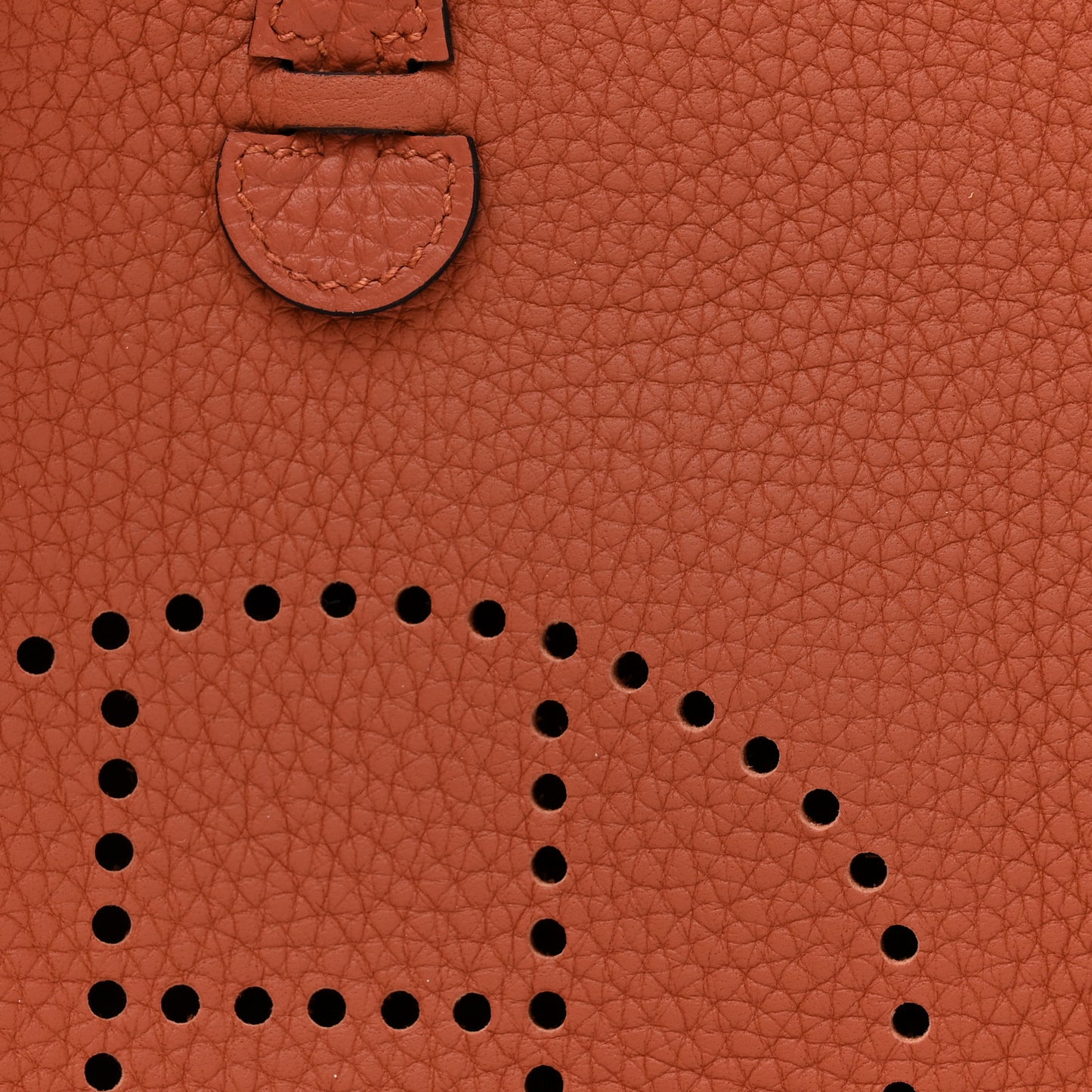 Taurillon Clemence Amazone Evelyne TPM Cuivre