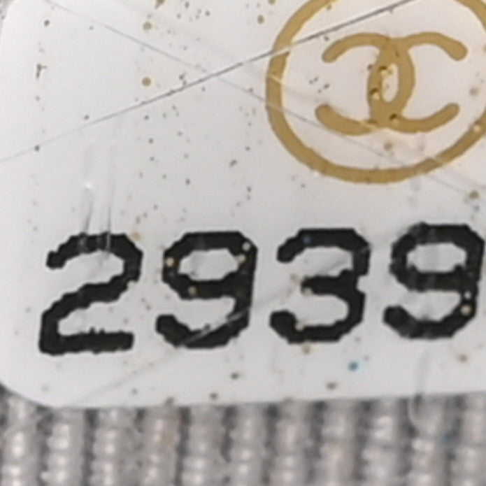 Chanel Grained Calfskin Quilted CC Box Wallet On Chain WOC Grey 7 of 16