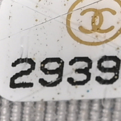 Chanel Grained Calfskin Quilted CC Box Wallet On Chain WOC Grey 7 of 16