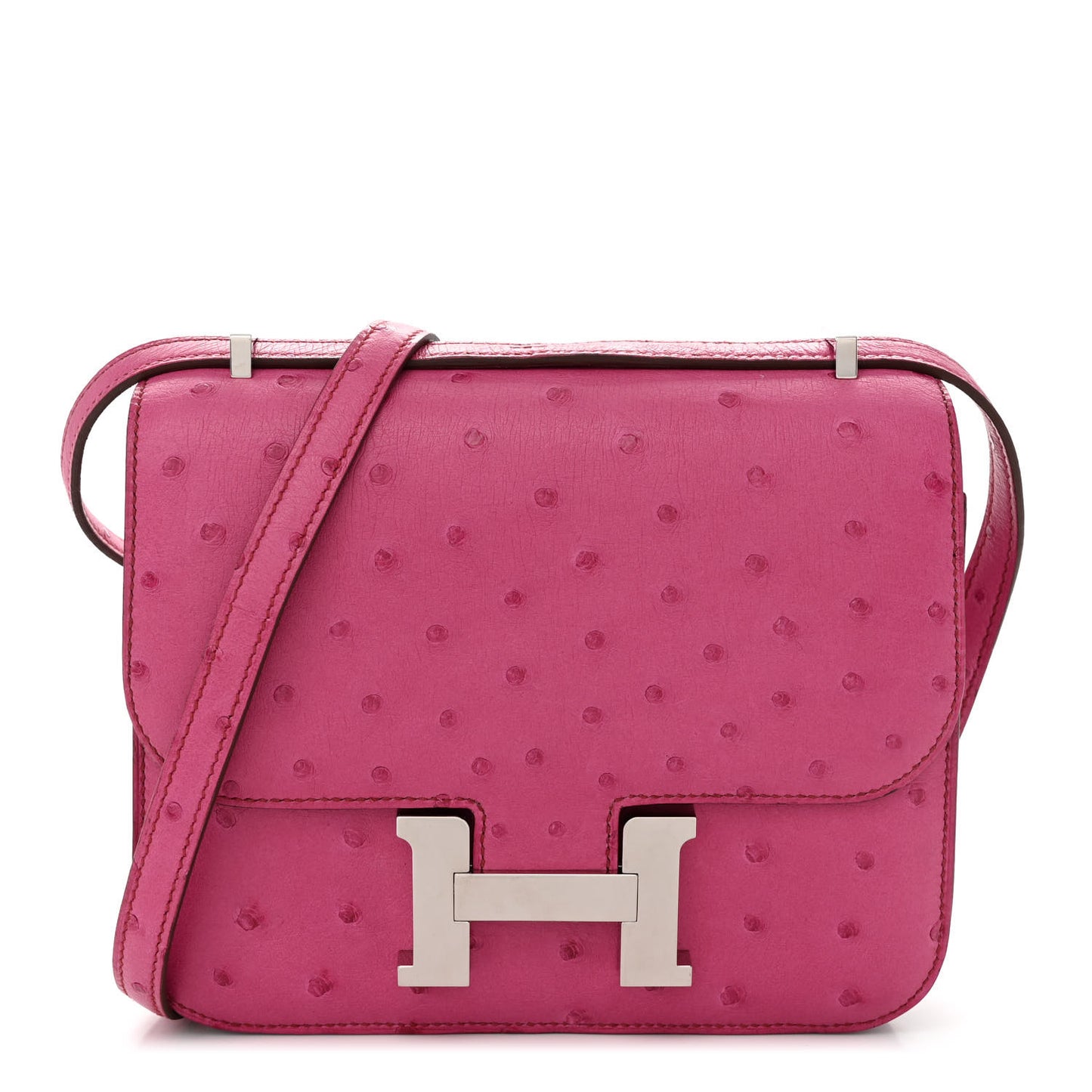 Ostrich Constance 18 Rose Pourpre