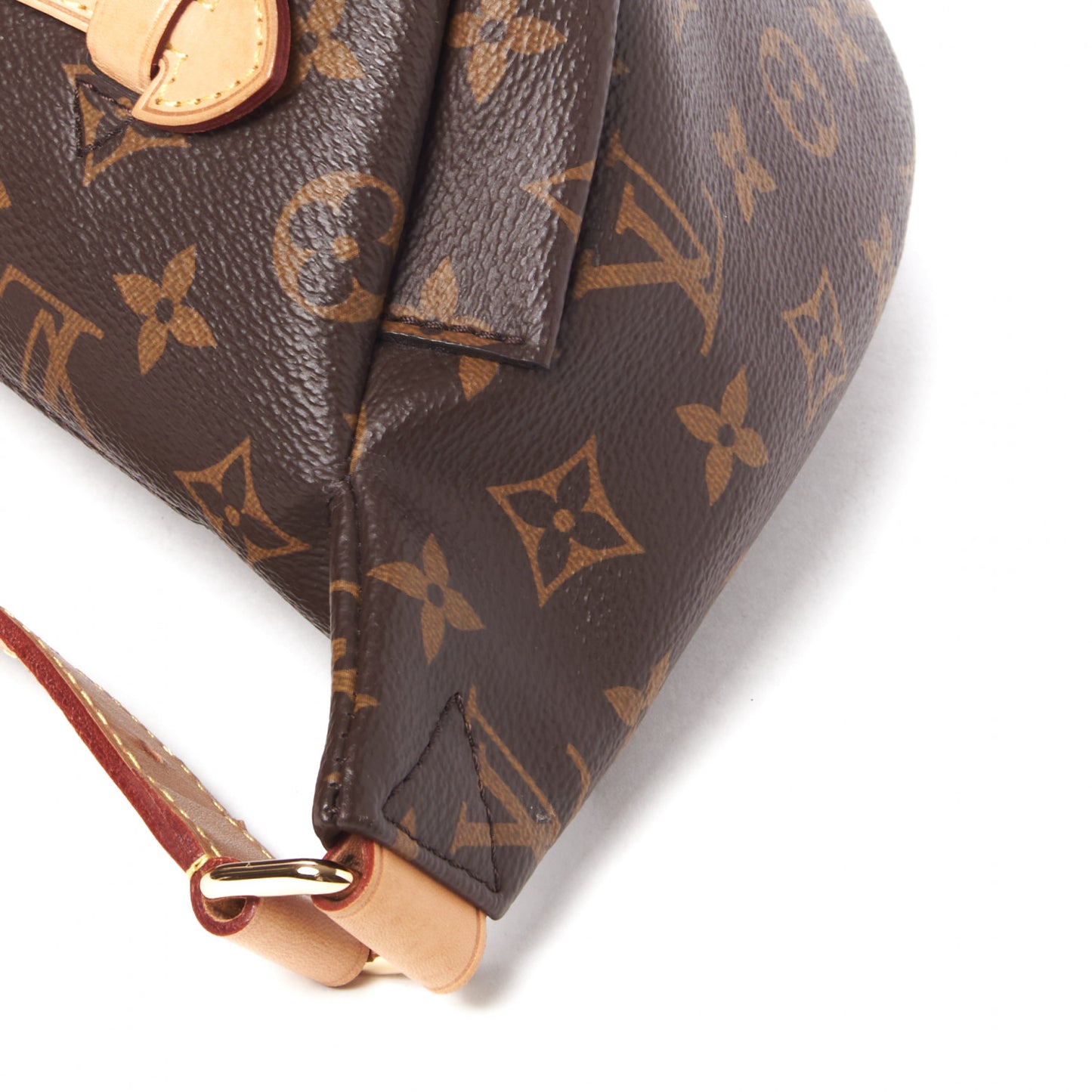 Monogram Bumbag