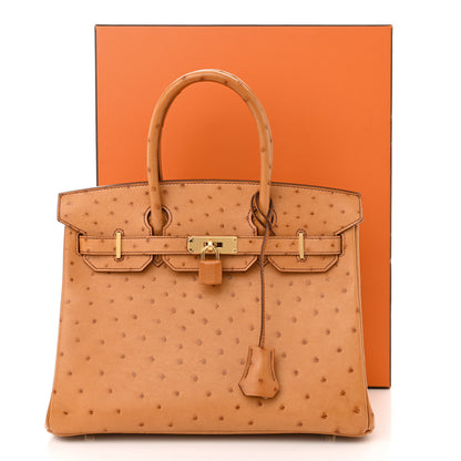 Hermes Ostrich Birkin 30 Cognac 12 of 12