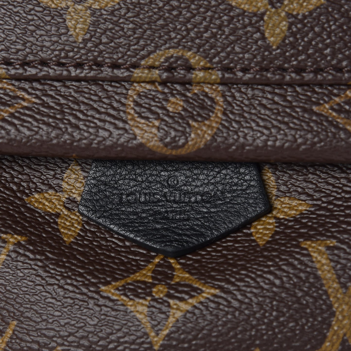 Monogram Palm Springs Backpack Mini