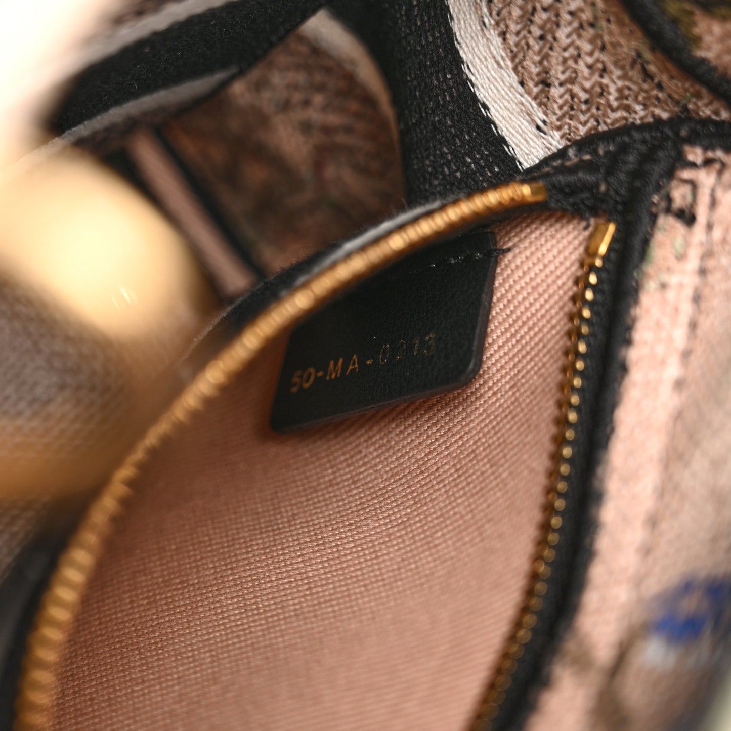 Canvas Mille Fleurs Embroidered Mini Lady D-Lite  Beige Multicolor