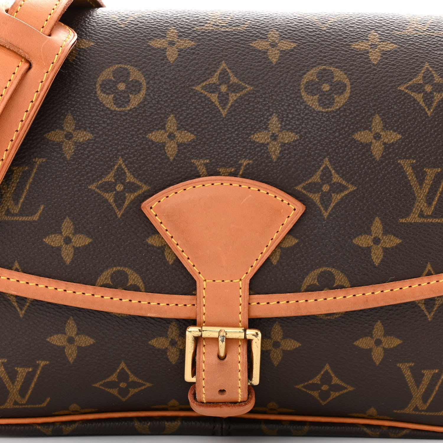 Louis Vuitton Monogram Sologne 7 of 11