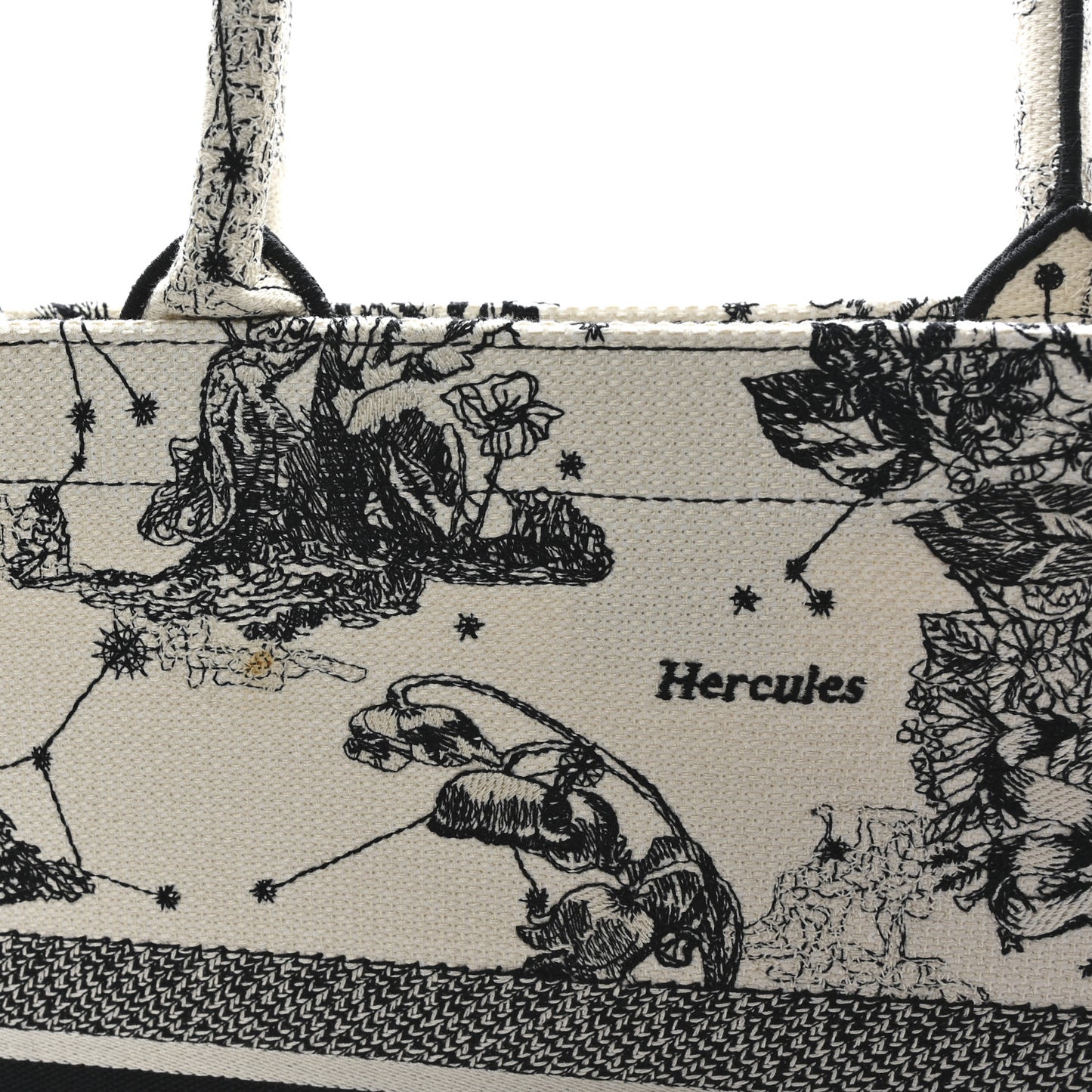 Canvas Embroidered Large Zodiac Toile De Jouy Book Tote Latte