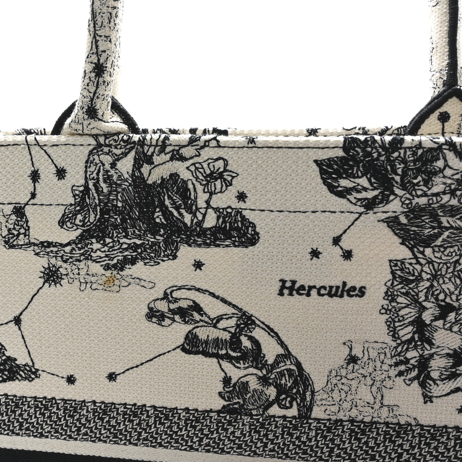 Christian Dior Canvas Embroidered Large Zodiac Toile De Jouy Book Tote Latte 11 of 12