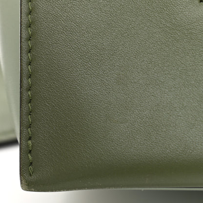 Celine Shiny Smooth Calfskin Medium Frame Shoulder Bag Olive Pastel Green 12 of 13