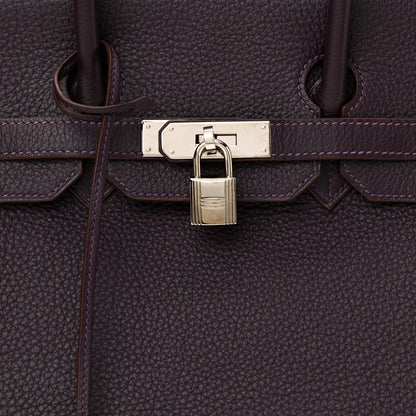 Hermes Togo Birkin 35 Raisin 5 of 12