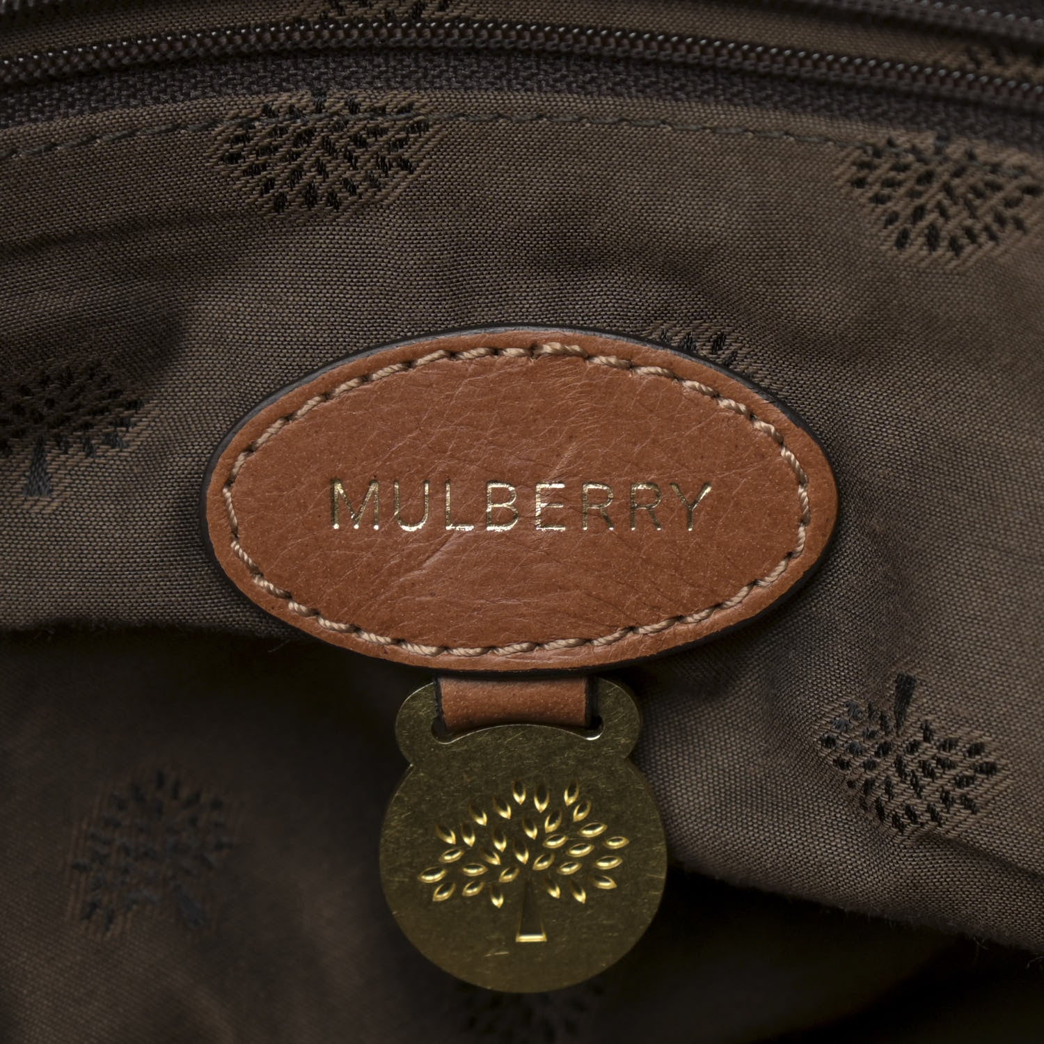 Mulberry Soft Buffalo Medium Alexa Oak 5 of 12