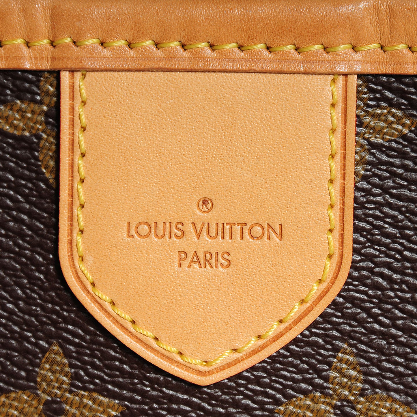 Monogram Delightful MM