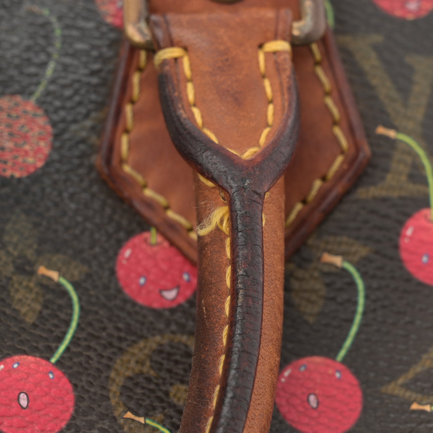 Monogram Cerises Speedy 25