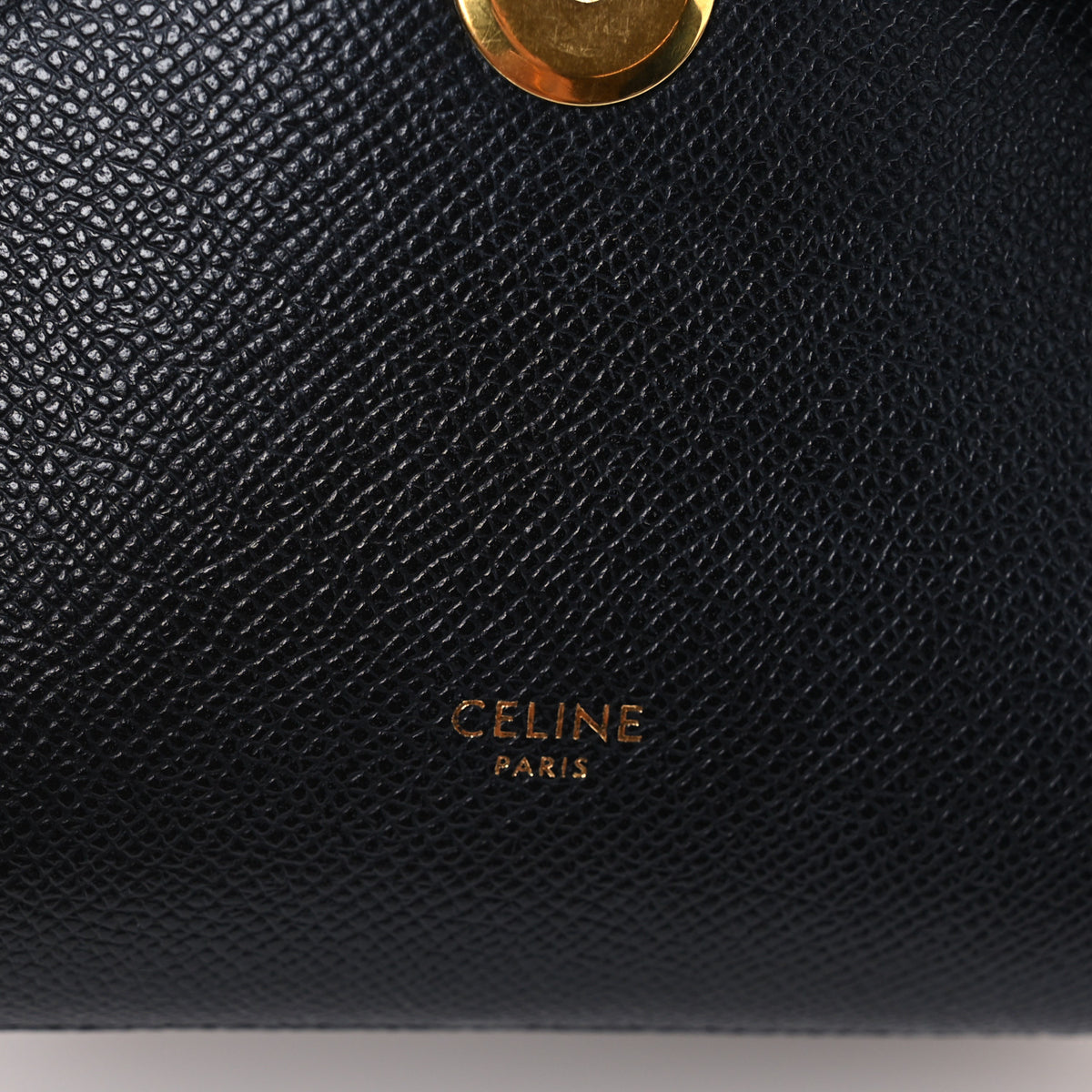 Grained Calfskin Pico Belt Bag Black