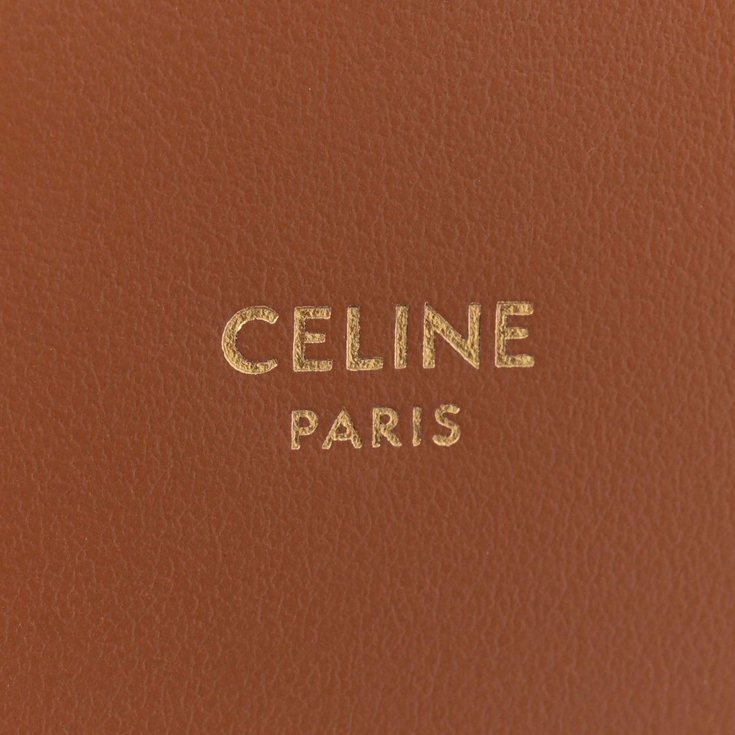 Triomphe Canvas Multipochette Tan