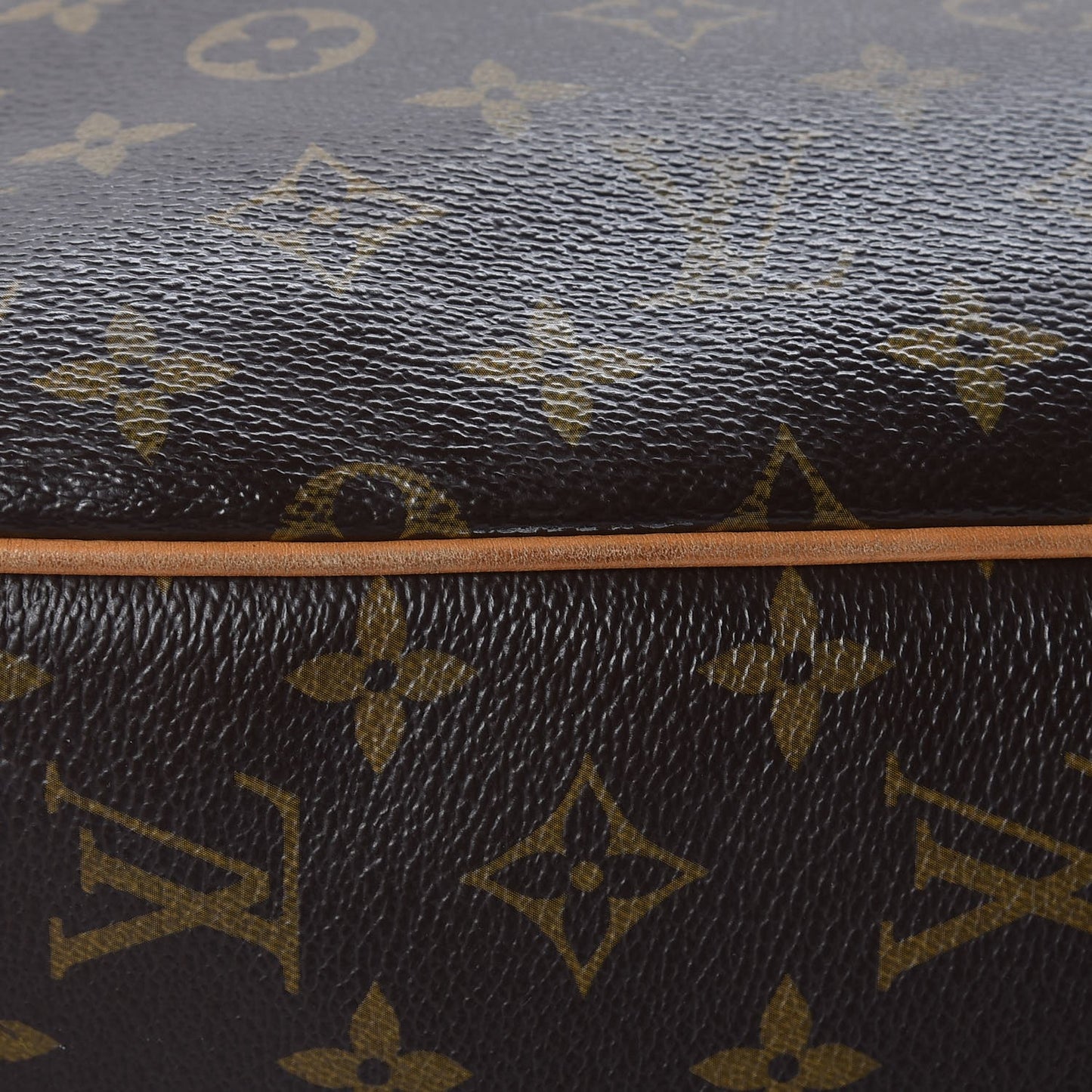 Monogram Delightful MM