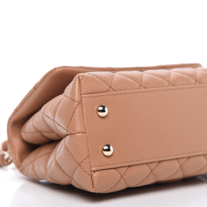 Chanel Caviar Quilted Lizard Embossed Mini Coco Handle Flap Brown 6 of 10