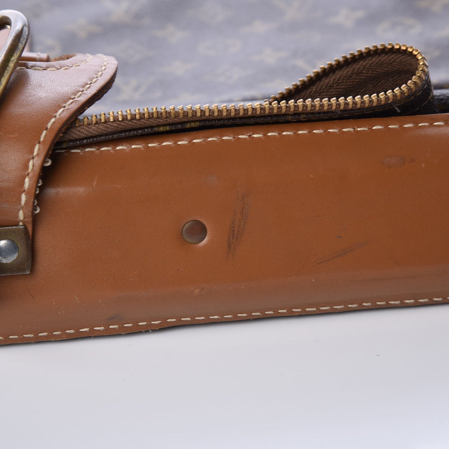 French Company Monogram Garment Bag