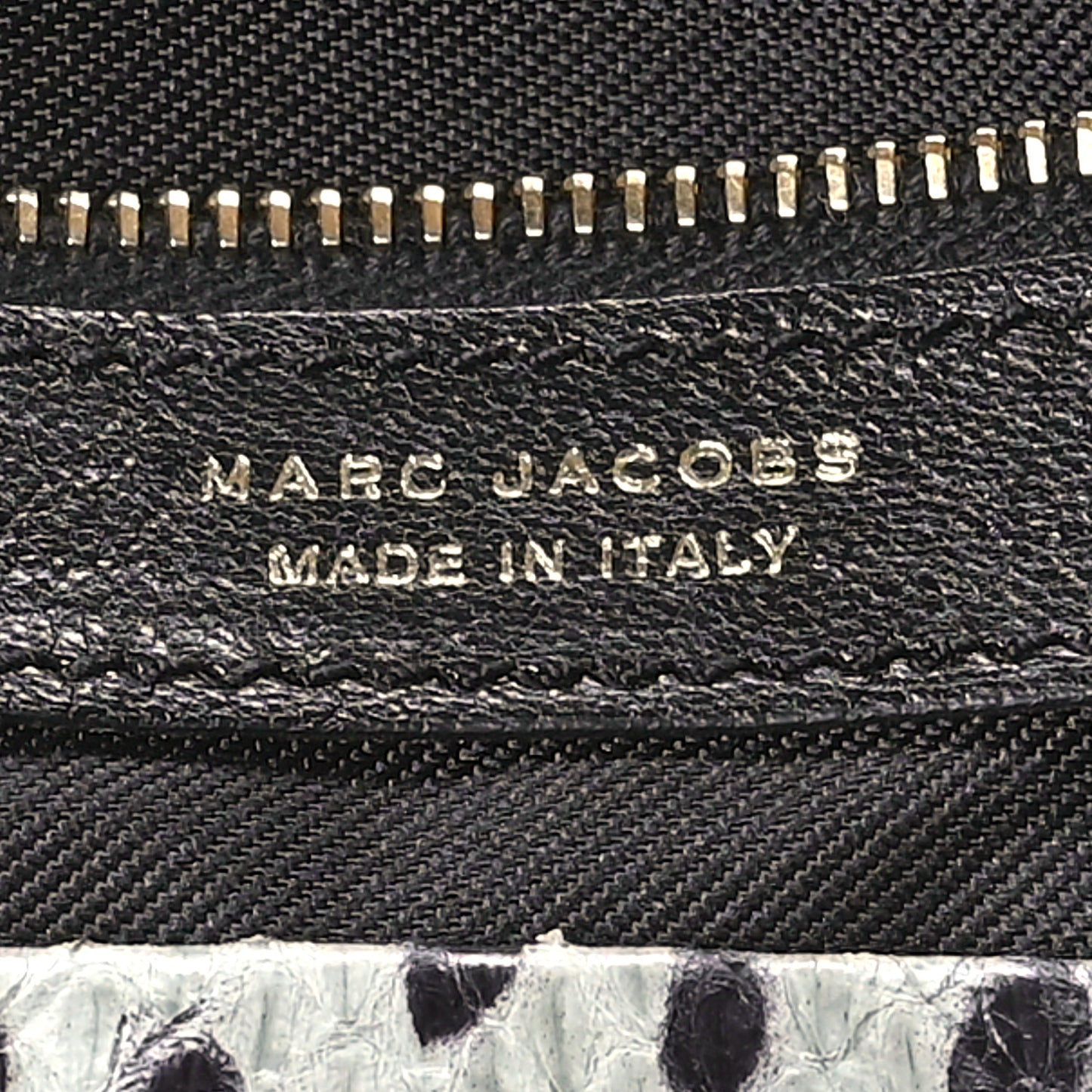 Calfskin Snakeskin Animal Print 1984 Bag Cloud Atlantic