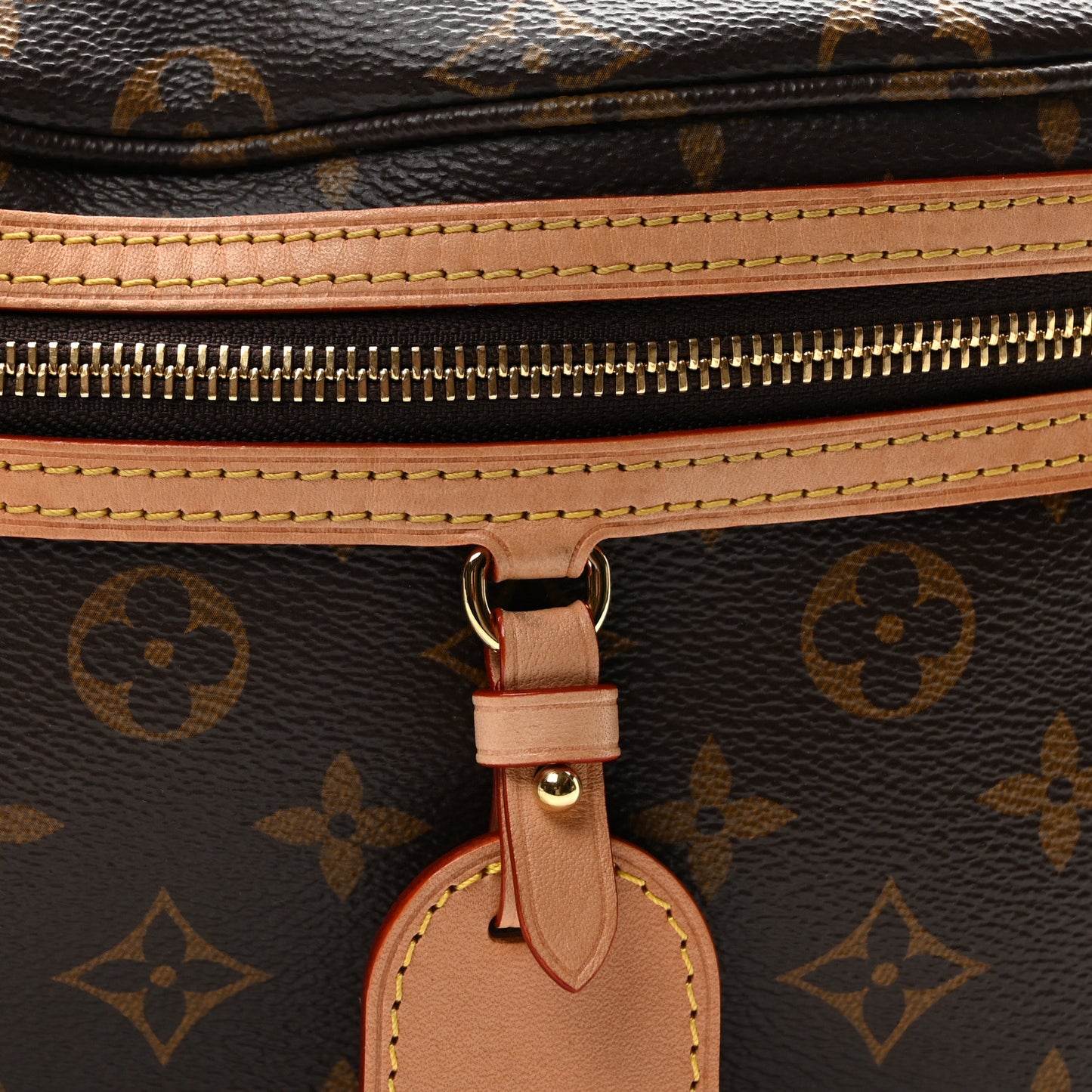 Monogram High Rise Bumbag
