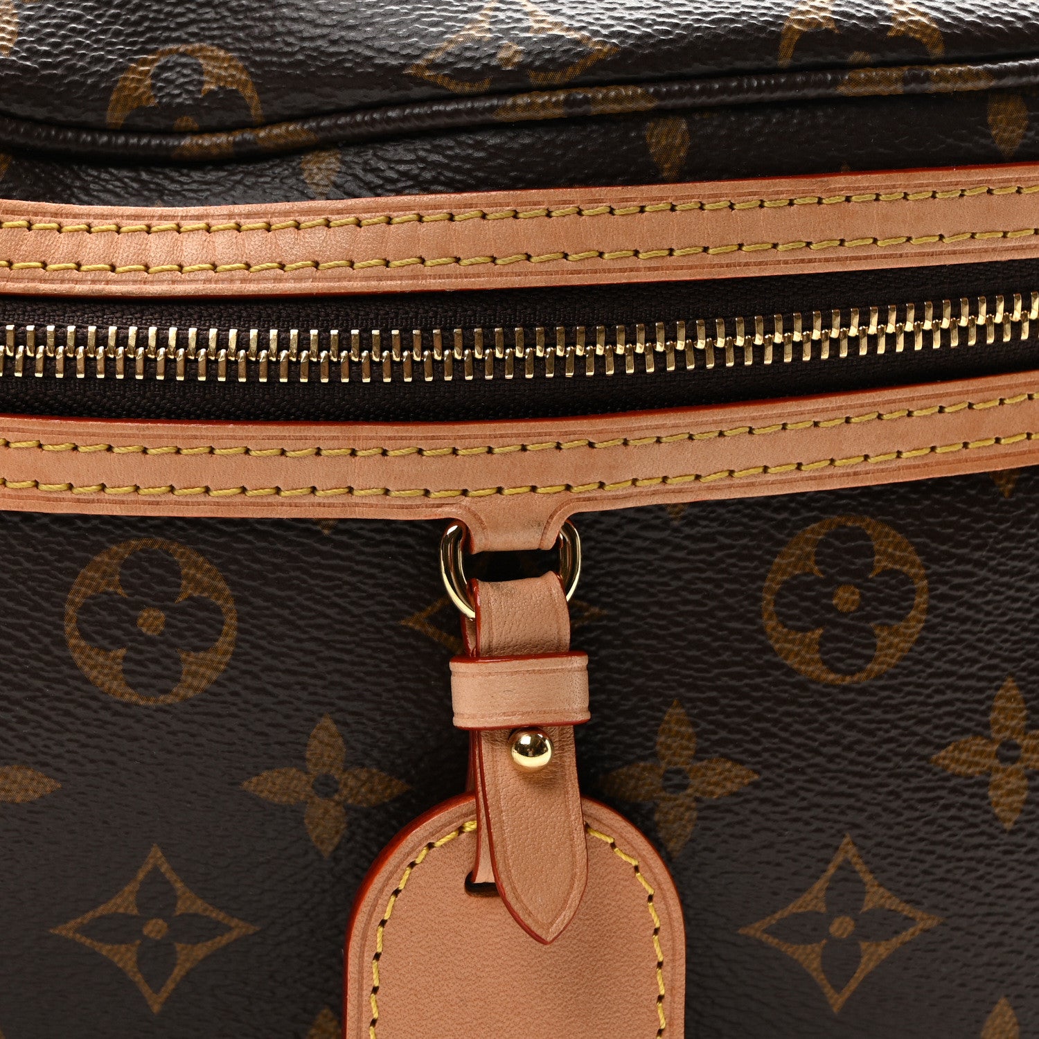 Louis Vuitton Monogram High Rise Bumbag 7 of 9