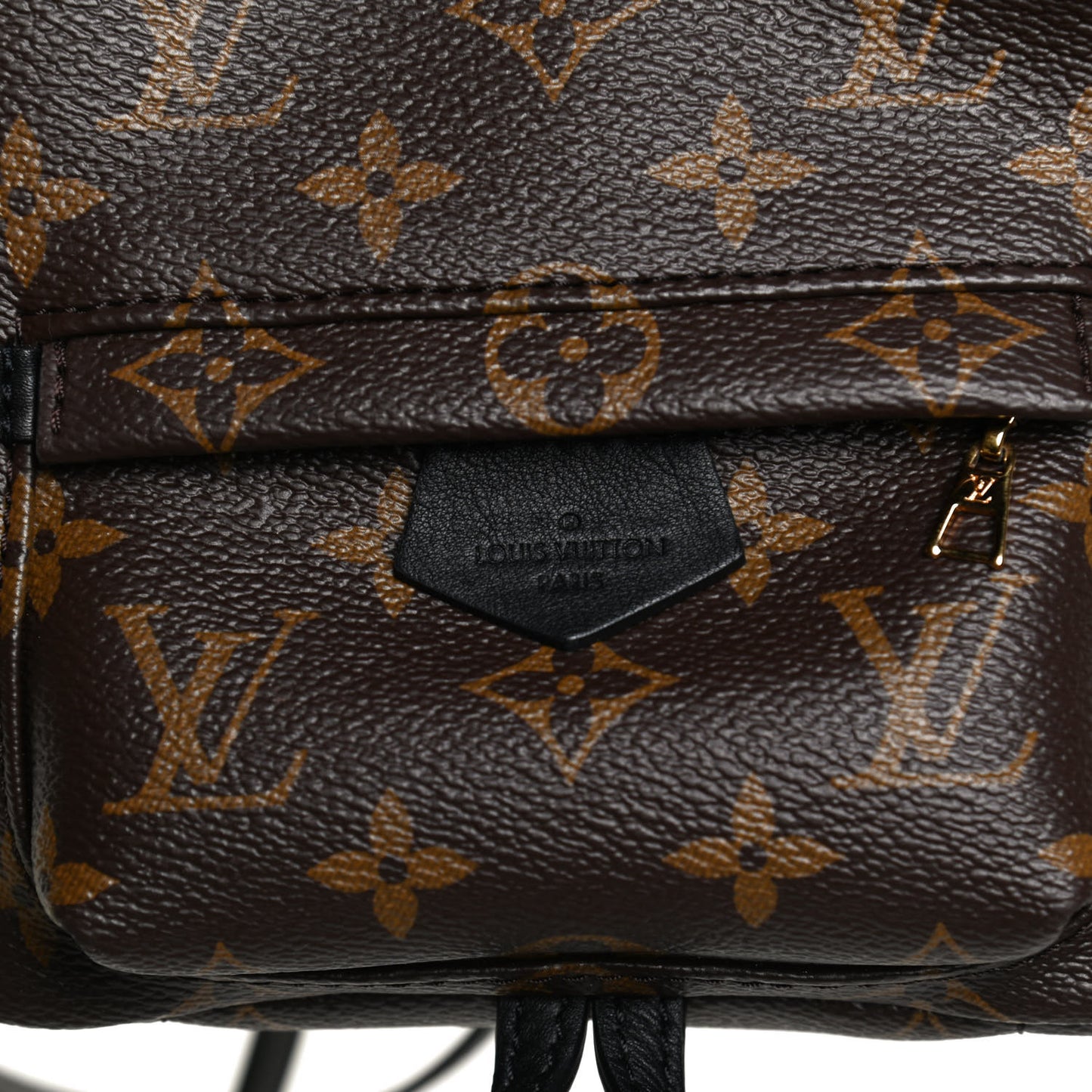Monogram Palm Springs Backpack Mini