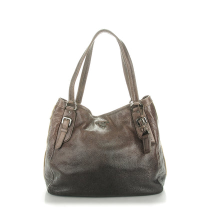 Prada Cervo Lux Sfumata Zippers Hobo Fumo 1 of 7