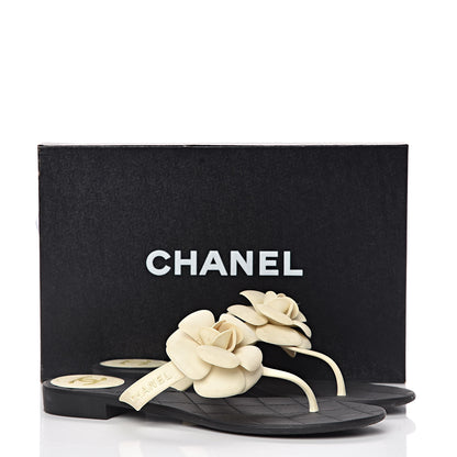 Chanel Jelly Quilted Camellia Thong Sandals 39 Black White 13 of 13