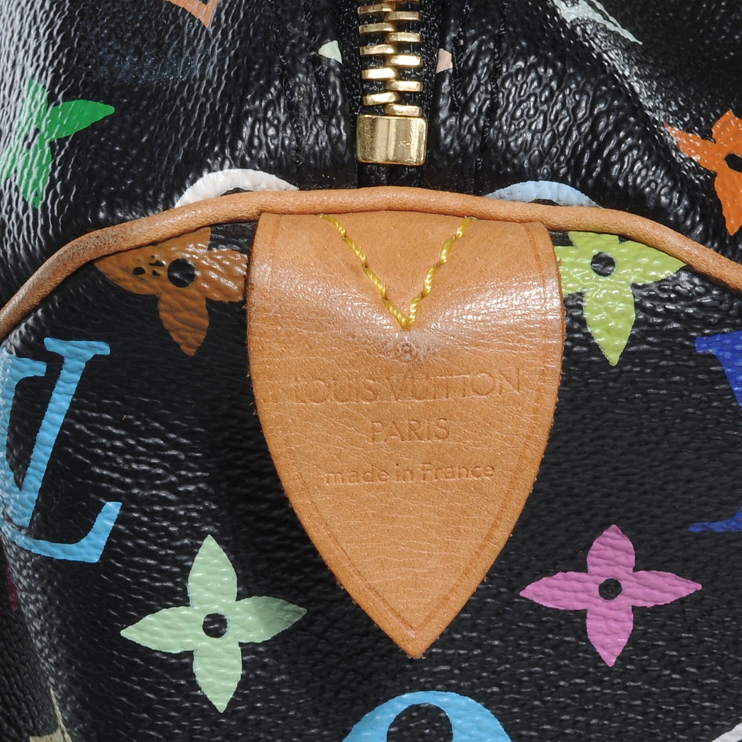 Monogram Multicolor Speedy 30 Black